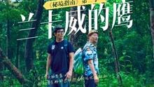 逃出猫头鹰屋