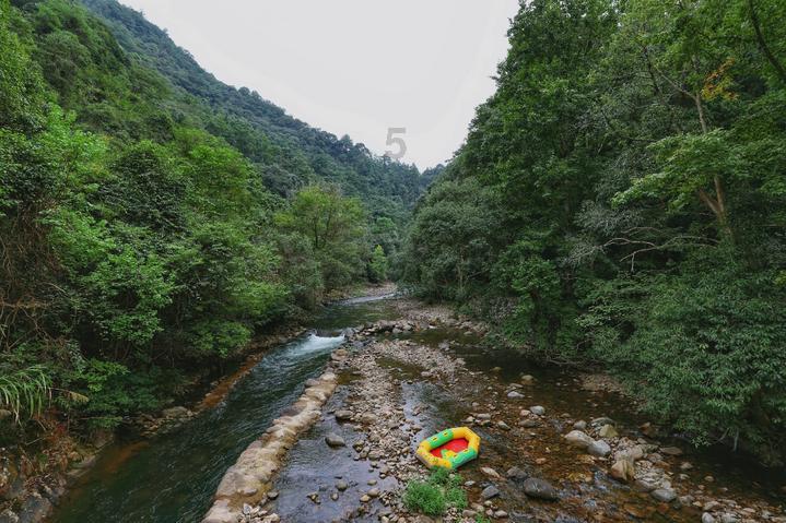 《岷峨诗稿》150期丨郭定乾：十万灯中天不夜，九重云外月交光