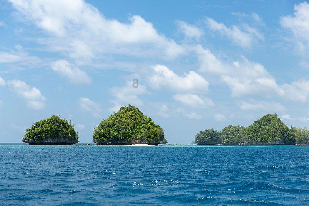 生物碱的分类口诀游戏画面