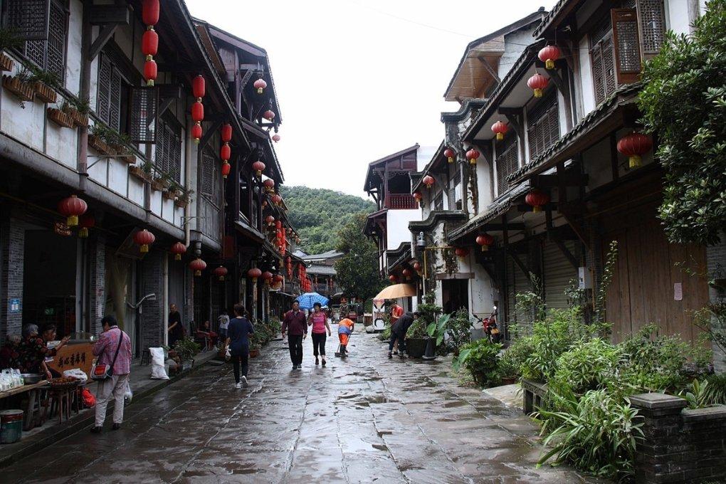 动物帮帮忙保卫家园